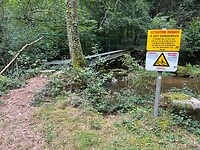 IMG_7378