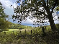 IMG_7375