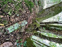 IMG_7372