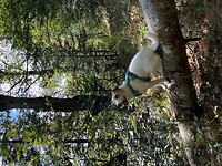 IMG_7365