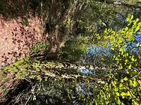 IMG_7362