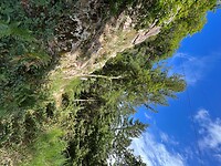 IMG_7361