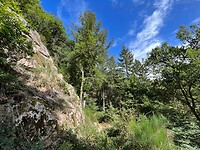 IMG_7360
