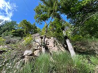 IMG_7359