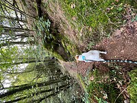 IMG_7357