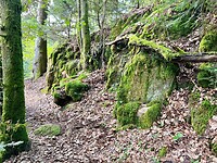 IMG_7356