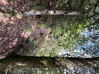 IMG_7353