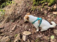 IMG_7342