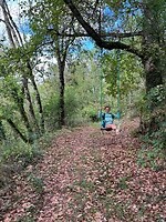 IMG_7332