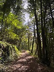 IMG_7318