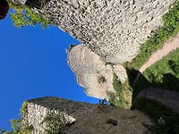 IMG_7299