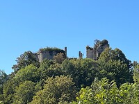IMG_7290