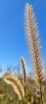 IMG_7277