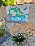 IMG_7264
