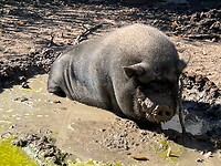 IMG_7256