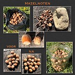 IMG_7254