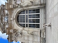 IMG_7230