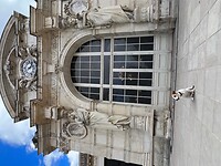 IMG_7229