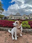 IMG_7218