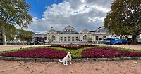 IMG_7211
