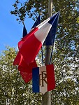 IMG_7201