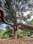 IMG_7160