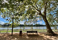 IMG_7135
