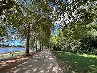 IMG_7133
