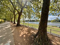 IMG_7132