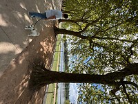 IMG_7131