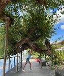 IMG_7123