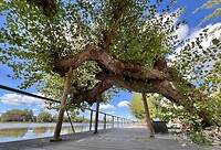 IMG_7119