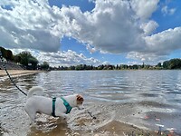 IMG_7096
