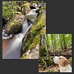 IMG_7084
