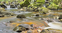 IMG_7082