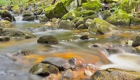 IMG_7068