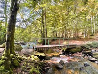 IMG_7065