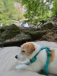 IMG_7050