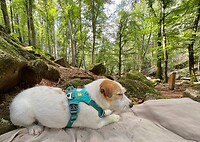 IMG_7044