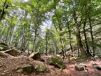 IMG_7039