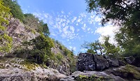 IMG_7029