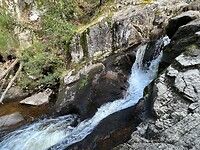 IMG_7025
