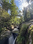 IMG_7020