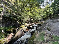 IMG_7018