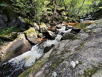 IMG_7014