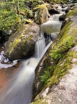 IMG_7012