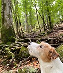 IMG_1752