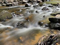 IMG_7009