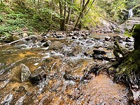 IMG_7008