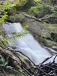 IMG_7005